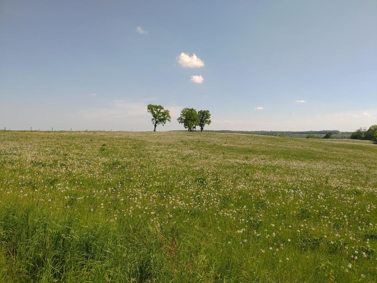 Haus Ringgau - Urlaub, Gemeinschaft Und Erlebnis Im Herzen Von Deutschland Herleshausen Zewnętrze zdjęcie