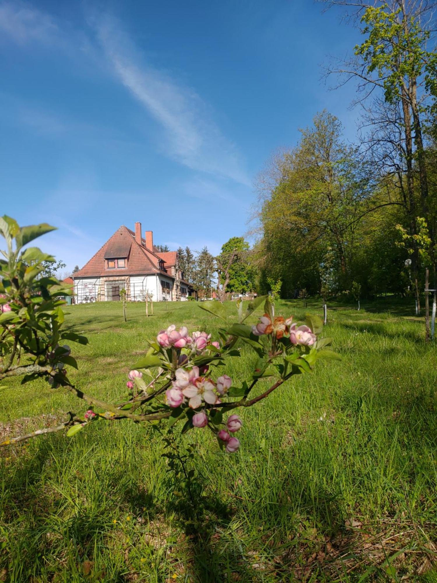Haus Ringgau - Urlaub, Gemeinschaft Und Erlebnis Im Herzen Von Deutschland Herleshausen Zewnętrze zdjęcie